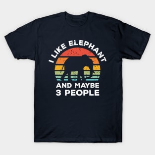 I Like Elephant and Maybe 3 People, Retro Vintage Sunset with Style Old Grainy Grunge Texture T-Shirt